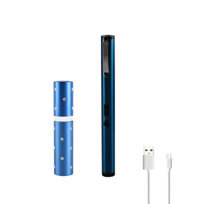 blue lipstick blue pen Stun Gun