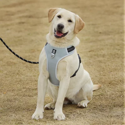 dog harnesses