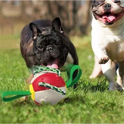magic flying saucer ball, dog ball toy, interactive doy toy, dog toy.