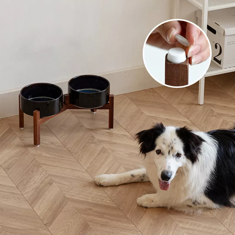 ceramic dog bowls with stand3