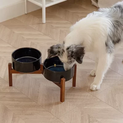 ceramic dog bowls with stand4