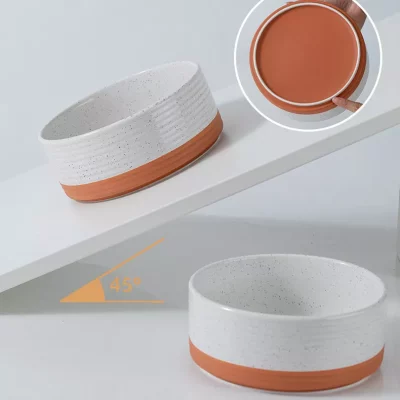 white ceramic dog bowls4