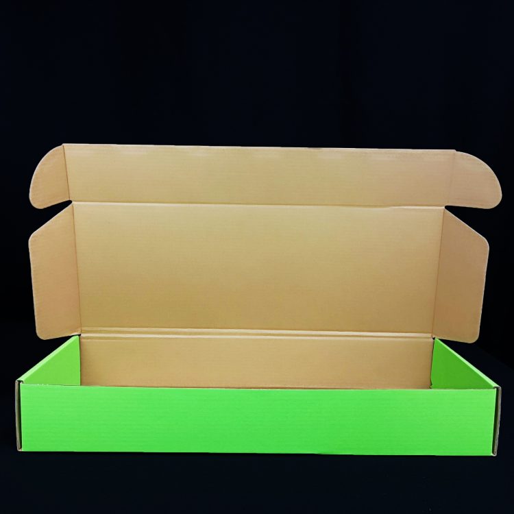 dink1l-h264-ld_20250318105828