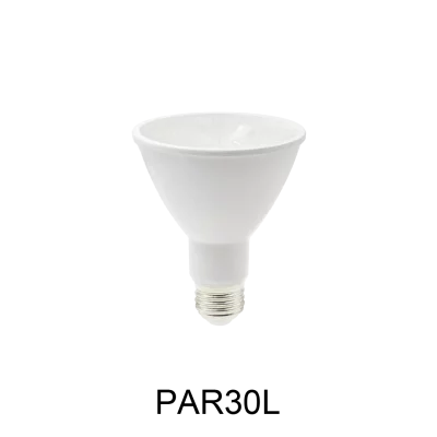 5.PAR30L