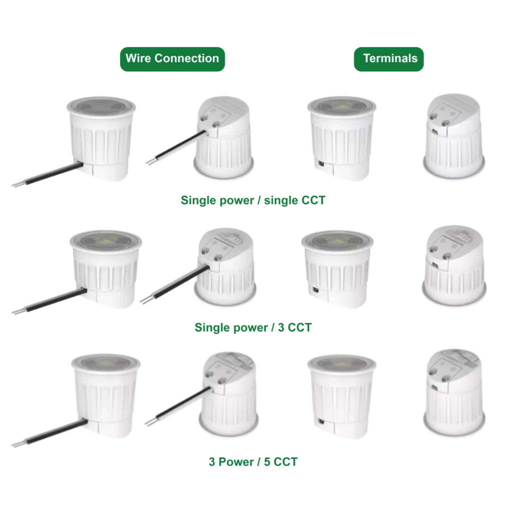 demo4_20240110012545