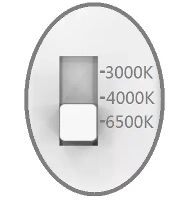 tenialighting_20250328015253