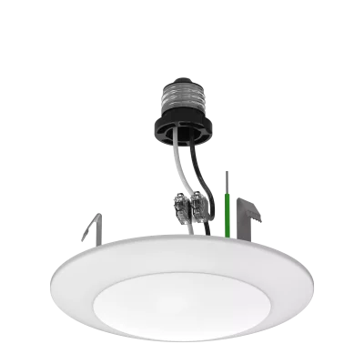 tenialighting_20250328063902