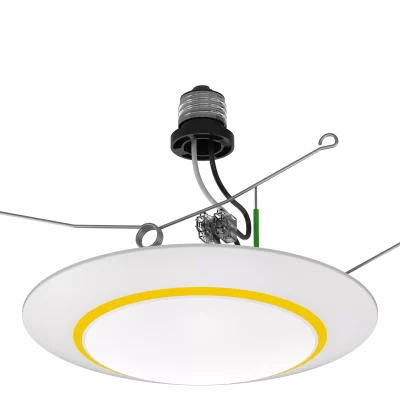 tenialighting_20250328084211