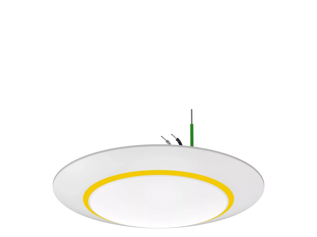 tenialighting_20250328084221