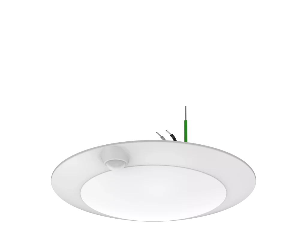 tenialighting_20250331054657