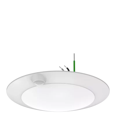 tenialighting_20250331054657