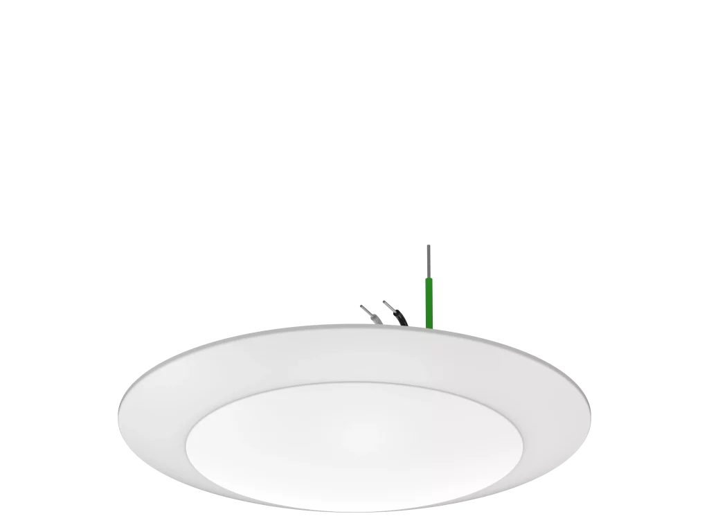 tenialighting_20250331055402