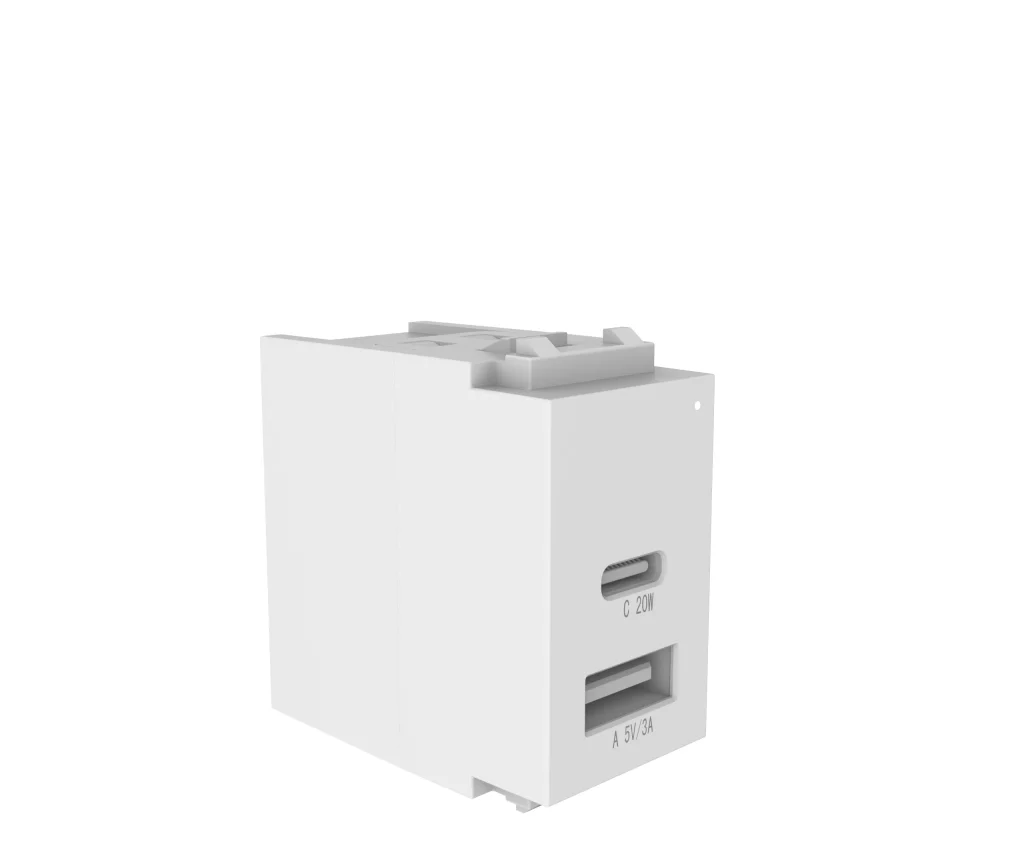 PAAS030 1C1A