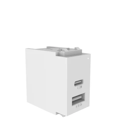 PAAS030 1C1A