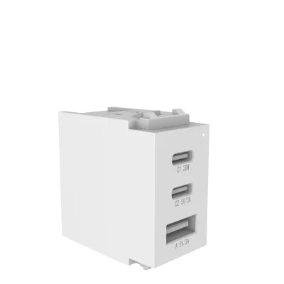 PAAS030 2C1A (8)