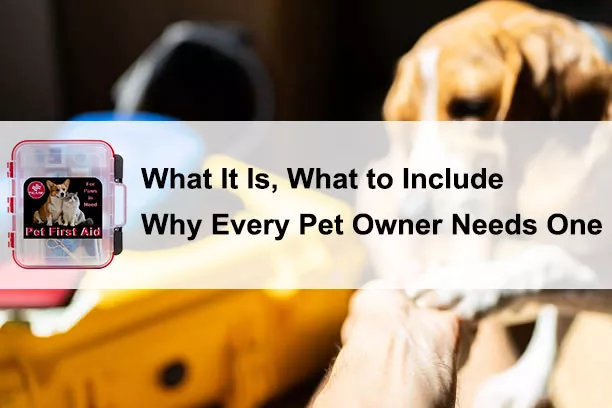 Pet First Aid Box: What It Is, What to Include, and Why Every Pet Owner Needs One