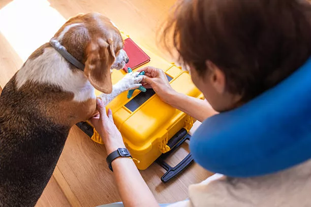 Pet first aid kit manufacturing process with medical supplies, custom carrying case, packaging materials, and quality inspection workflow