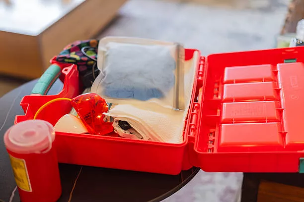 Essential supplies inside a hunting dog first aid kit