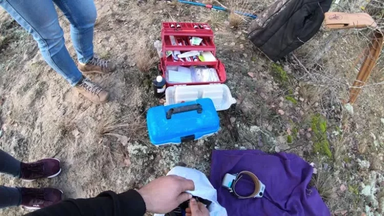 How to Build a Hunting Dog First Aid Kit