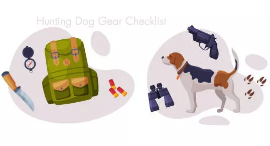 Hunting Dog Gear Checklist Essential Equipment for Safe Hunts