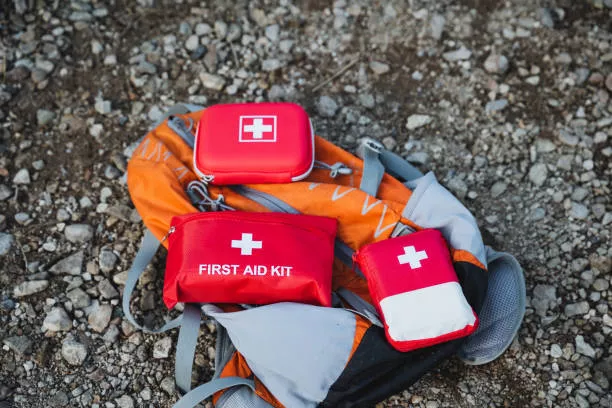 Dog First Aid Kit for Hiking: Essential Supplies, and Custom Kit Development Guide