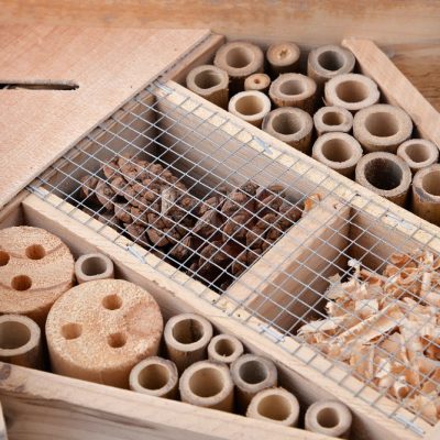 htb1hmxtxcytbknjszkbq6xj8pxad-448