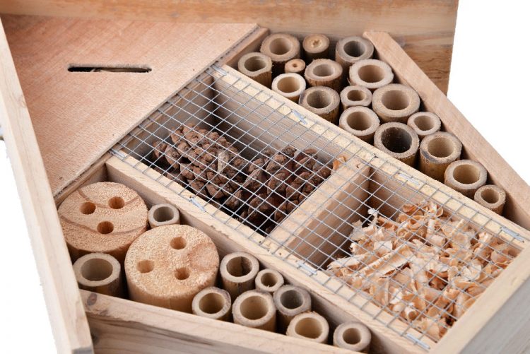 htb1hmxtxcytbknjszkbq6xj8pxad-448