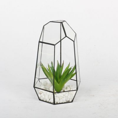 htb1rcnodqombknjszfqq6xtqvxa9-323