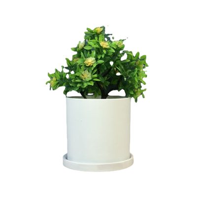 H25765dd0294f4d949ca004dcf4333745P_20240527152859_324