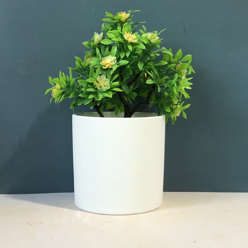 H3b27a646d3384155b7f0448fa59f0073G_20240527152900_697