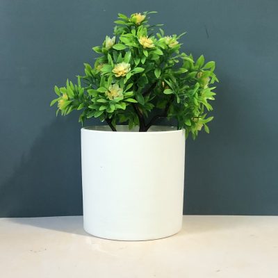 H3b27a646d3384155b7f0448fa59f0073G_20240527152900_697