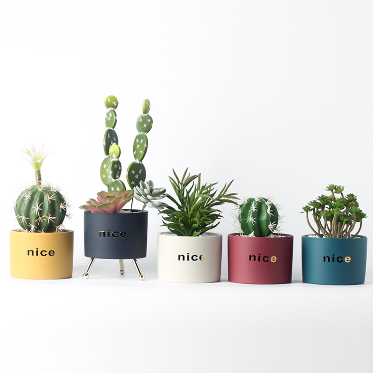 H6e6ea084a92e43c4983d9bdc6d7f7714A_20240531115535_858