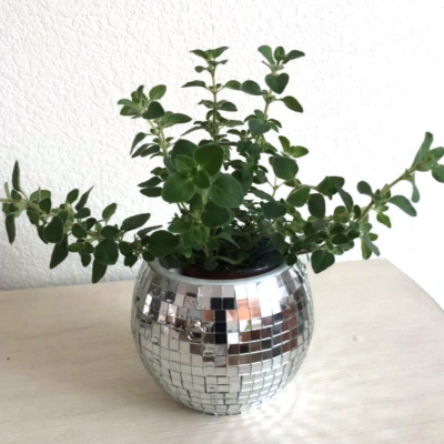 H83a811efa5d8424fa5278d28d974283c0_20240521090224_985