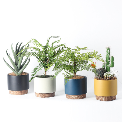 Ha2d3cde82c9d44e3bdeefd36595ced7cT_20240515093840_586