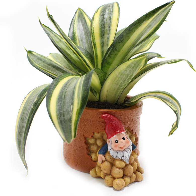 Hc56326479cf54d43a97b2347be6e3463D_20240520100309_115