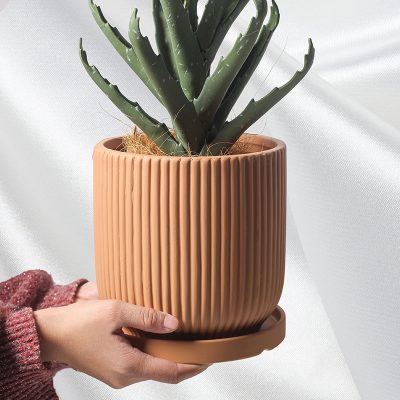 Hc89d1b11e8644fcf946cb356baa71115f_20240529133852_730