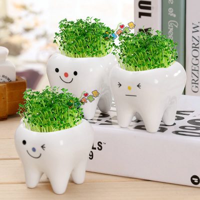 Hd3e9c54a1fce44b0bbb75c05bc4c42cct_20240516112234_822