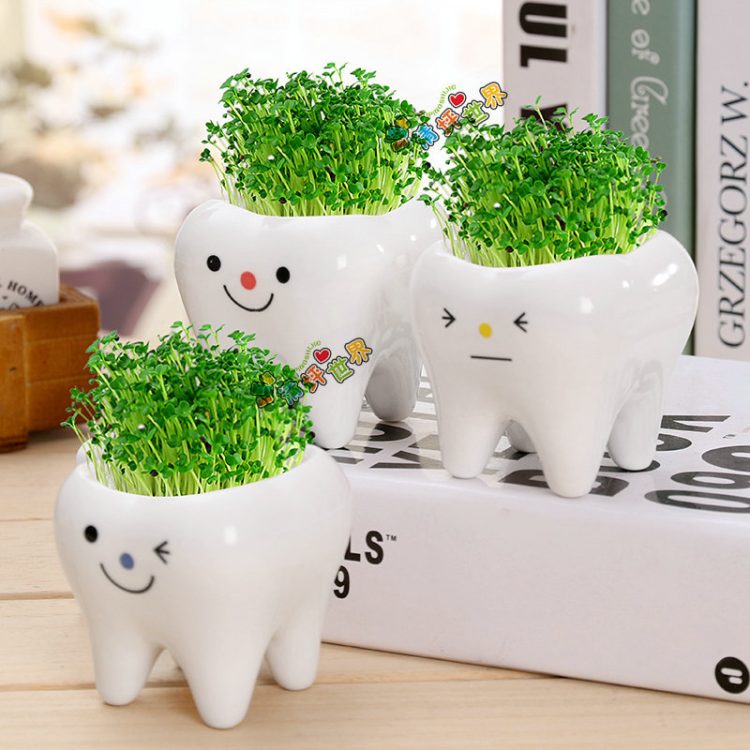 Hd3e9c54a1fce44b0bbb75c05bc4c42cct_20240516112234_822