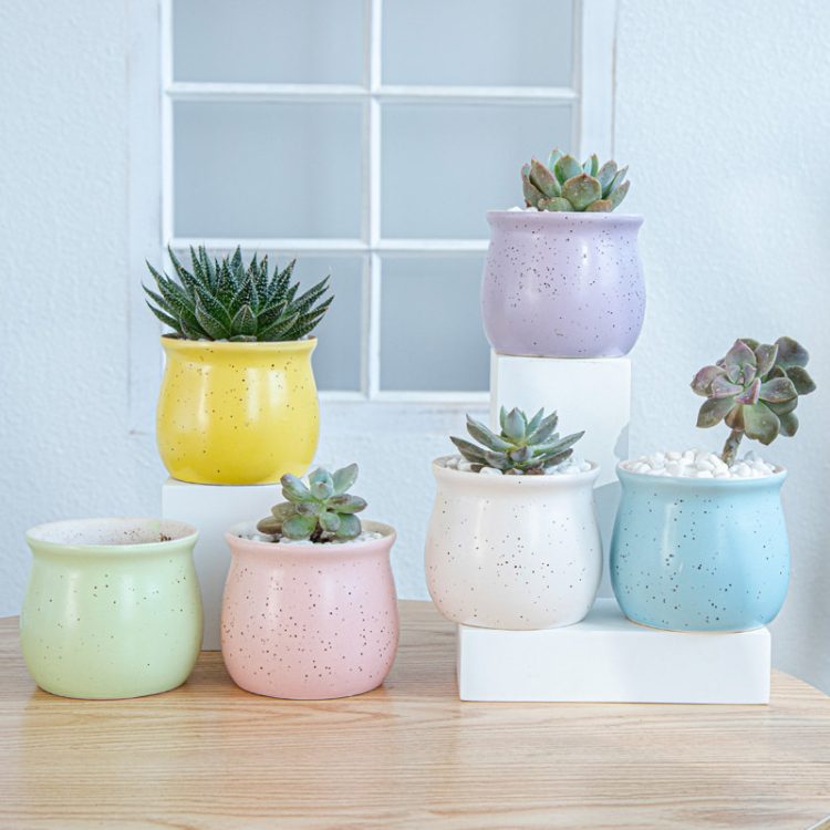 H0ce8259a048d4cd8983f50632b6df11cx_20240619114247_878