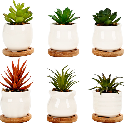 H1a50b56f94604ae39056c29991c25b6a0_20240625115227_190