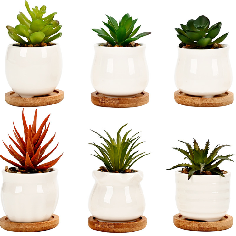 H1a50b56f94604ae39056c29991c25b6a0_20240625115227_190