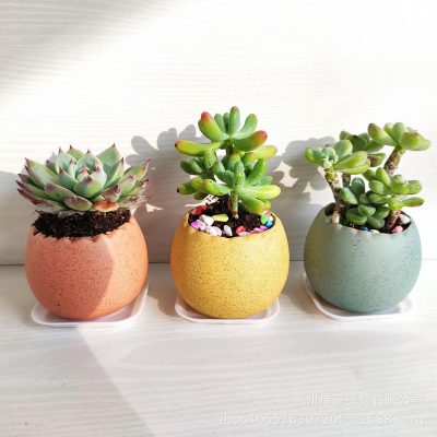 H208340c9e25b4e0ab2ab0bc45f366f88S_20240627105548_884