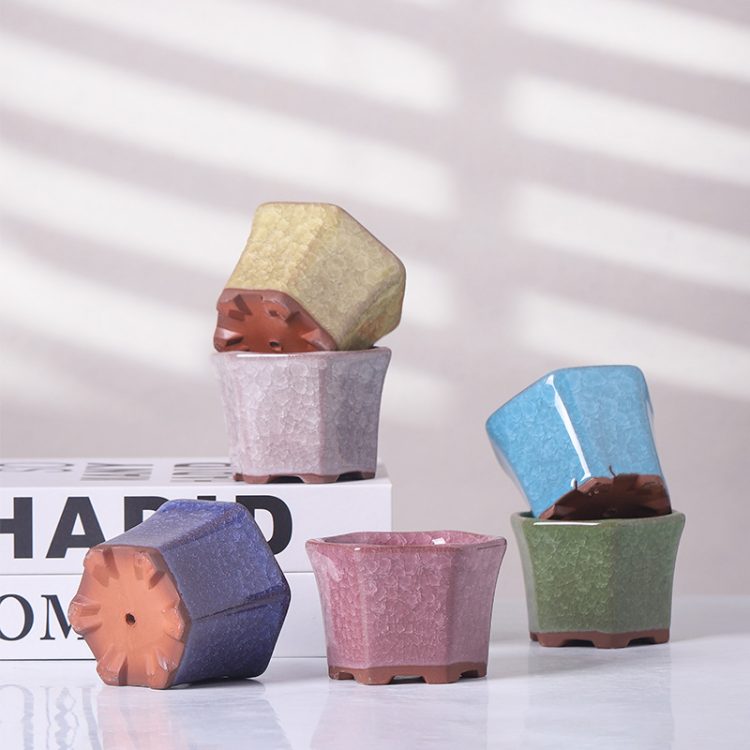 H35699d409fae4fbf9f2869959c5c14a2O_20240627105523_919