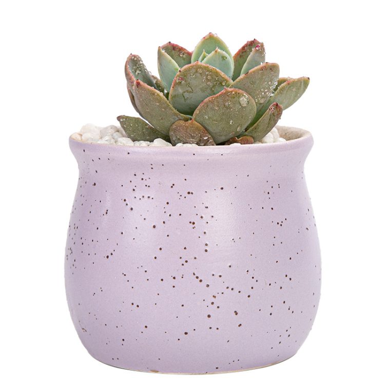 H51d7c5fec83a42ed88ff6e5d3bd374day_20240619114249_786