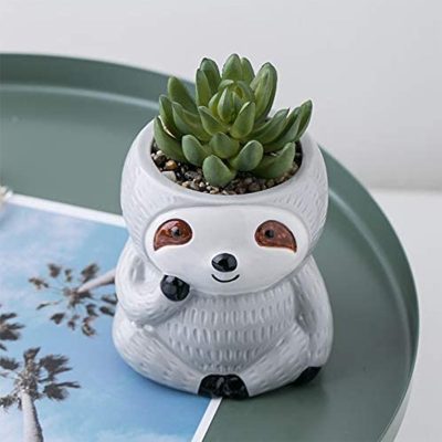 H5e00c3f1969d433da81c35bd42518db6c_20240620180105_745