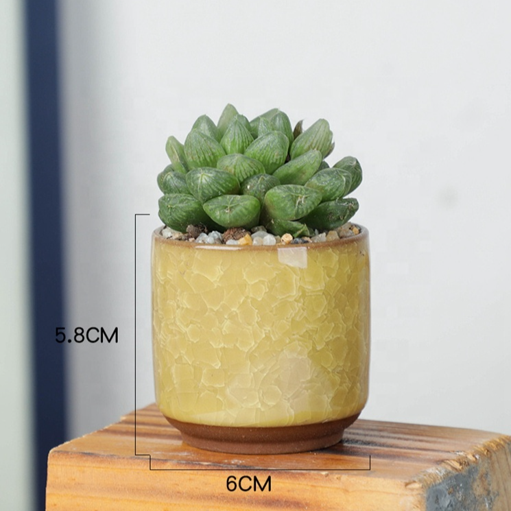 H6580cffaa2944a65b051e0dd092d532fU_20240618102310_515