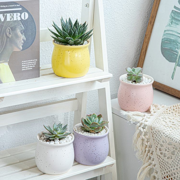 H686711e90b584f21911fb9280af62179z_20240619114248_120