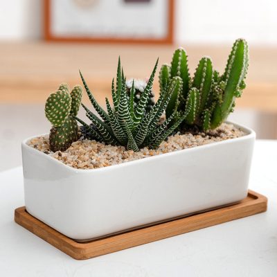 H7577013419c544d0a2280a7faeaf67b2z_20240614110819_952