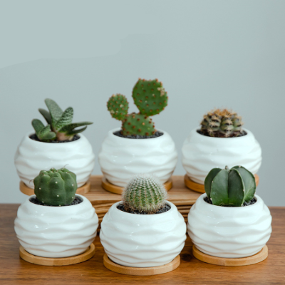 H75d4607b7f8f4803aa895ef284fcba42u_20240625115252_367