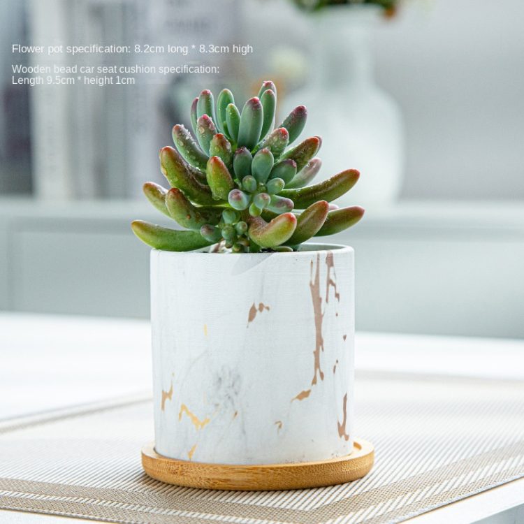 H900fd7fecf0c49a582271f7f7171d600x_20240613090530_488